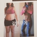 드림핏 이미지