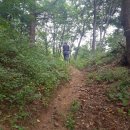 강릉시농업기술센터 이미지