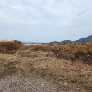 열린행정사사무소 네이버블로그