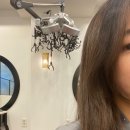 안나올슨 헤어살롱 네이버블로그