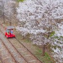 영천체육공원 이미지