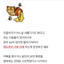 손님에게 시비거는 오코노미야키 식당 사장 이미지