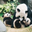(주)잔디투어 이미지
