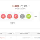1101 이미지