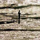 금빛바다 이미지