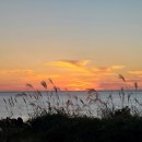 주식회사 사계절 이미지