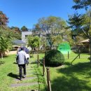 우포늪식당 이미지