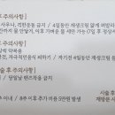 나린브로우 이미지