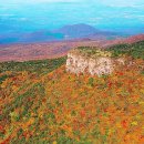 다이소 교통섬 이미지