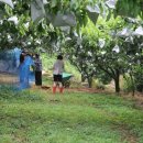 소은농장 이미지