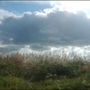 태하등대 이미지