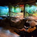 양서·파충류생태공원 아나콘다관 이미지