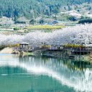 벚꽃마을경로당 이미지