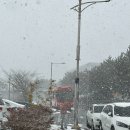 서호중앙로 | [제주] 서귀포 카페 추천 '비브레이브 혁신도시점' 내돈내산 후기