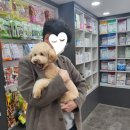 이수보습학원 네이버블로그