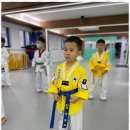 행복한태권도 이미지