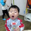 노래하는하마 Daum카페