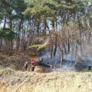 덕산12-17 농로 이미지