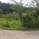 네모농장 이미지