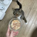 걸작떡볶이금호점 | 1月