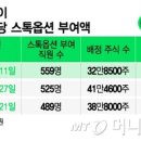 옵션(OPTION) 이미지