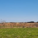 운정2리마을회관 이미지