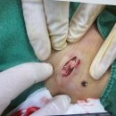 송도유외과의원 이미지