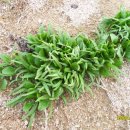 (주)황금농장 이미지