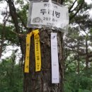 원진비닐루 이미지