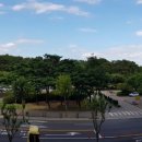 개전부리 이미지