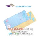 뽀뜨로