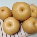 강남농원 이미지