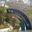 DMZ, 평화의 편지 이미지