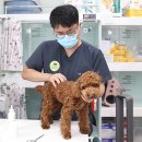 공원옆동물의료센터 이미지