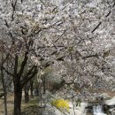 옥당걸숲속 이미지