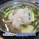 [장기동 맛집] 장기도 새로오픈한 맛집! <양군닭한마리> 다녀온 후기!