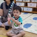 [5월3주특강]체육-리듬체조/원어민영어-Familly,Flowers/무용-잭과 콩나무/뮤직-가시두더지 에릭 이미지