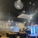 신정지구대 화장실 | 양천구 신월동 안주맛집 친절 맛집 별밤포차