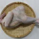 토종약초