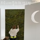브루니아성수