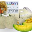 이상윤농장 이미지