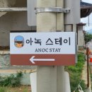 아녹스테이 이미지