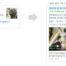 파워모바일 이미지