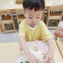 그림책 푸드아트 활동 이미지