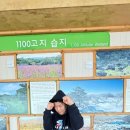 강철복싱
