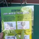 충무공동 종합경기장 | 진주 무림페이퍼 종이비행기대회 참가 후기