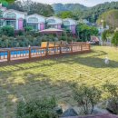 포포애견펜션 이미지