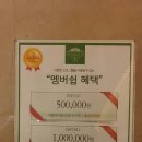 청담홀릭