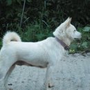 대덕농장2 이미지