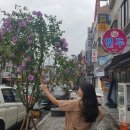 문화로 89번길 미디어투데이